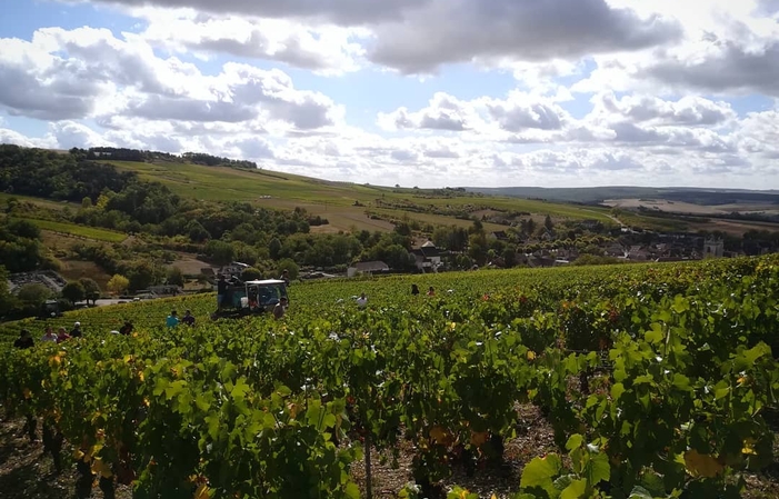 Visita y degustación en Domaine Verret 1,00 €