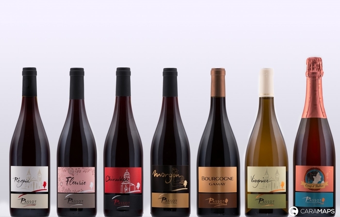 Domaine Passot: Visita de la finca y degustación 7,00 €