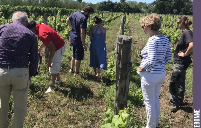 Recorrido de degustación por el castillo de cazebo 5,00 €