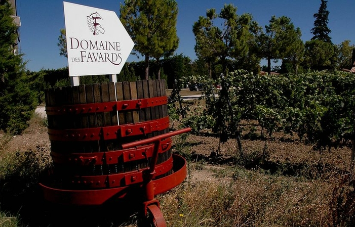 Visita y degustaciones del Domaine Des Favards 1,00 €