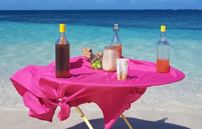 Visita y degustaciones en el Vasion de la Vid 70,00 €