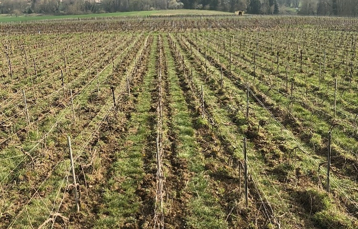 Visita y degustaciones de la finca de champán Regis poissinet 1,00 €