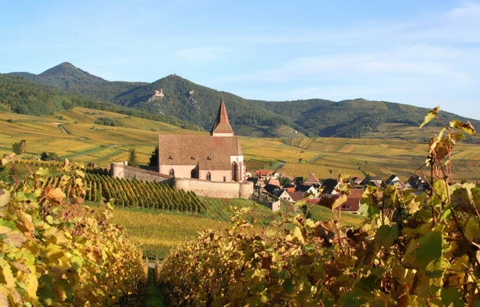 Visita y degustaciones de Domaine Jean Luc Mader 1,00 €