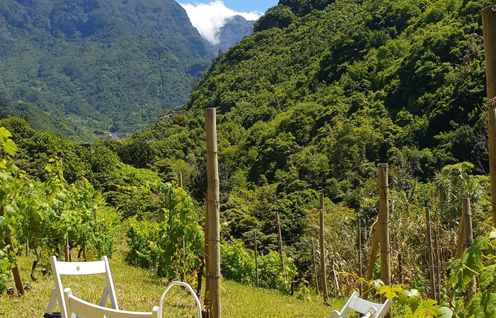 Degustación de vinos de Madeira en el establecimie 25,00 €