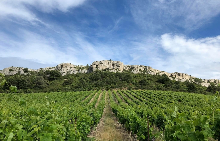 Visita al Castillo de Figuières 1,00 €