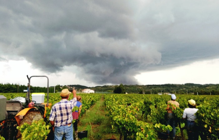 Visita a Domaine Jean David 1,00 €