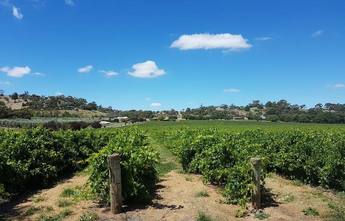 Visita y degustación en Domaine Sorby Adams 1,00 €