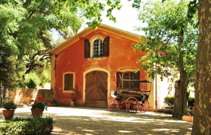 Visita al castillo de Saint Martin, degustación y 50,00 €