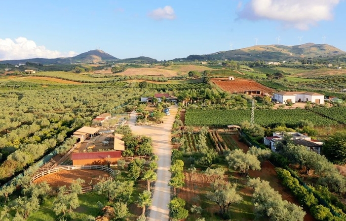 3- PICNIC EN EL CÉSPED CON VISITA A LA BODEGA Y DEGUSTACIÓN 30,00 €