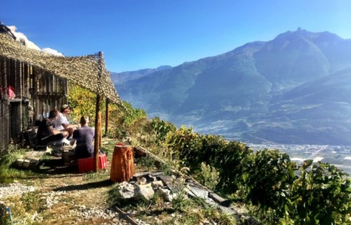 Visita y degustación en Domaine Julien Guillon 1,00 €