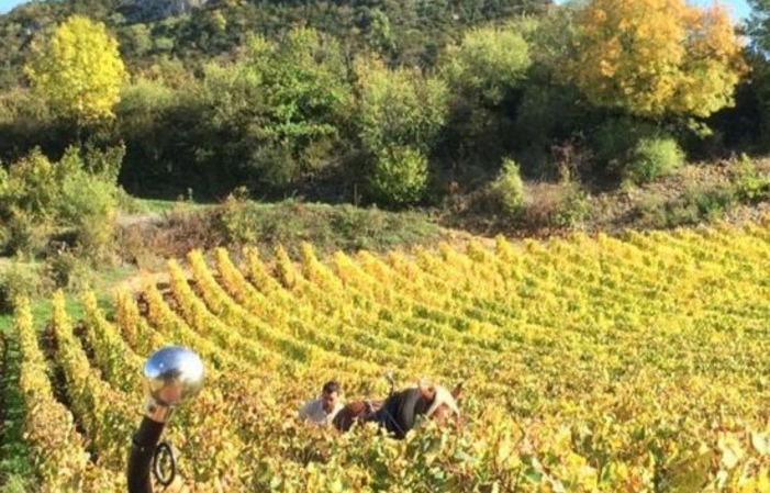 Visita y Degustación en el Domaine de l'Aubraine 1,00 €