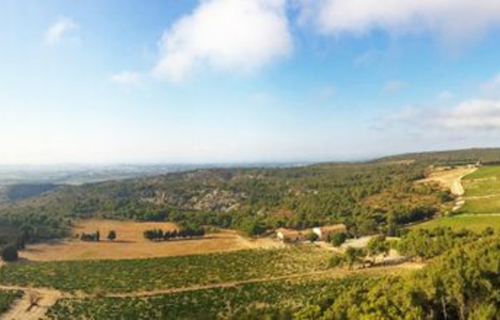 Visita al Castillo de Figuières 1,00 €