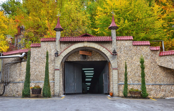 Visitar bodegas branesti y degustación 16,00 €