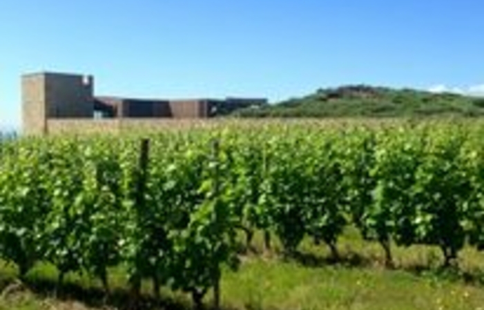 Visita y degustaciones en Domaine Marc Sorrel 1,00 €