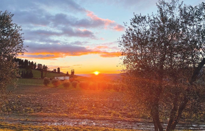 Visite la bodega Fattoria Lavacchio Winery Estate - Resort 1,66 AUD