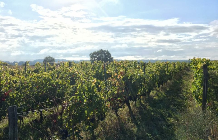 Visita Jeroboam en el Château de Coulaine 16,00 €