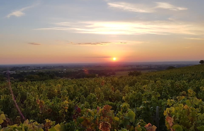 Visita y degustación en Domaine Lapierre 1,00 €