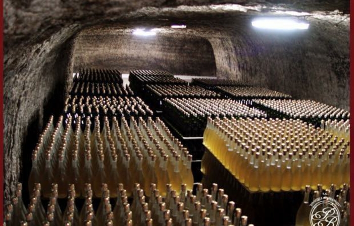 Visitar bodegas branesti y degustación 16,00 €