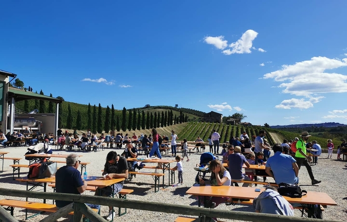 Visita y degustación en Vini Contesa 1,00 €