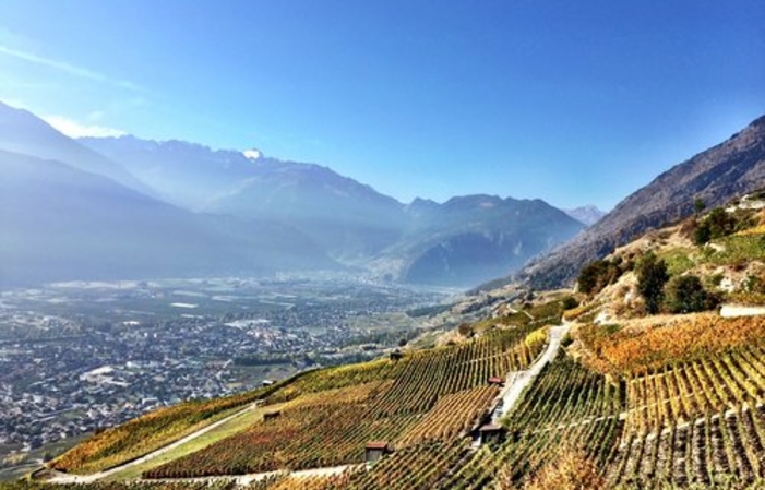 Visita y degustación en Domaine Julien Guillon 1,00 €