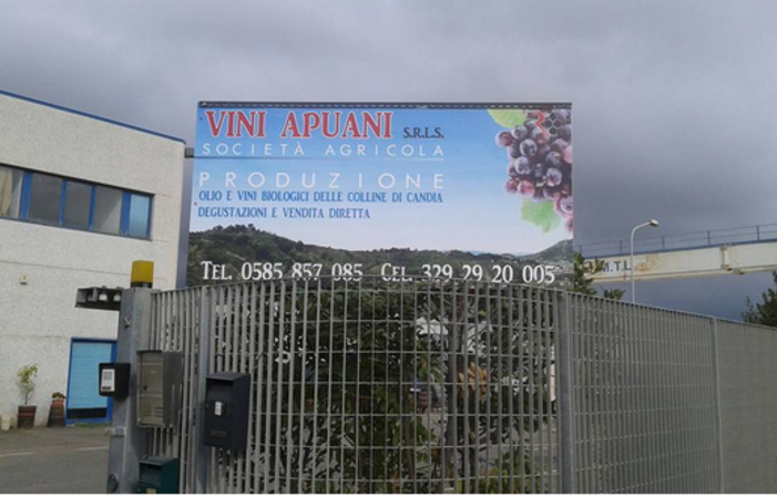 Visita a la finca: Vini Apuani Srls Castagnini 5,00 €