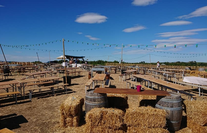 Visita y degustaciones en Domaine Cinq Peyres 1,00 €