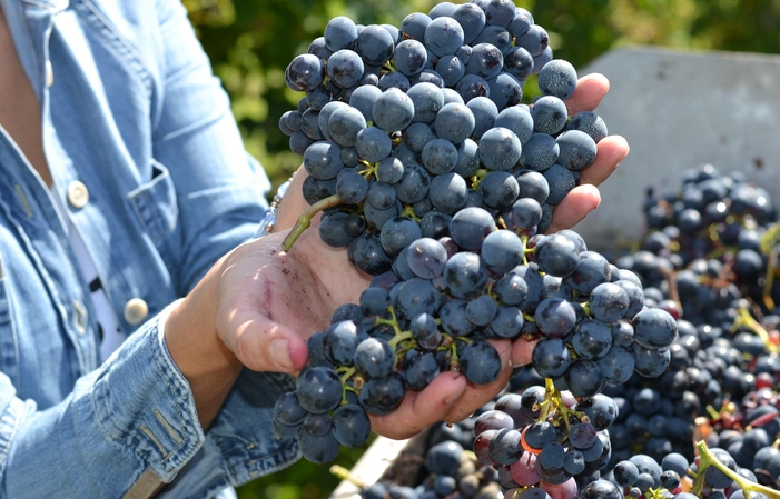 Visita y degustaciones en Valle Martello 1,00 €