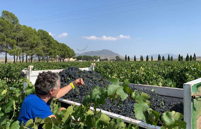 Visita de BODEGAS BLEDA 5,00 €