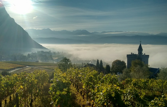 Visita y degustación en el viñedo de Chignin 1,00 €