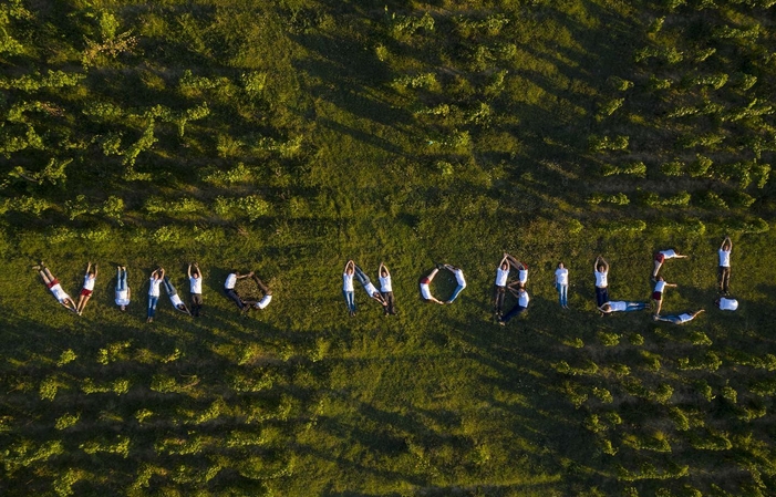 Visita y degustaciones de la finca AVIGNONESI 1,00 €