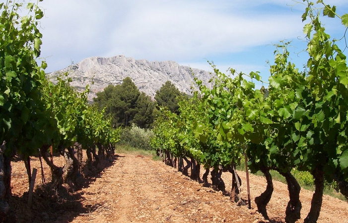 Visita y degustación en château Henri Bonnaud 19,00 €