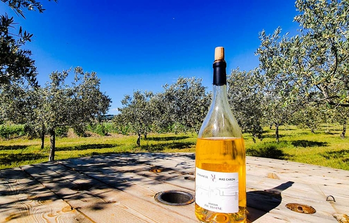 Visita y degustación en Domaine De Mas Caron 6,00 €