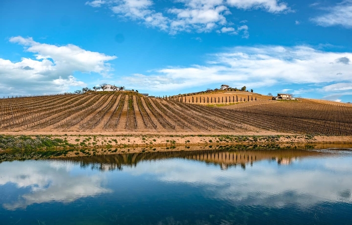 Visita y degustación en Vini Contesa 1,00 €