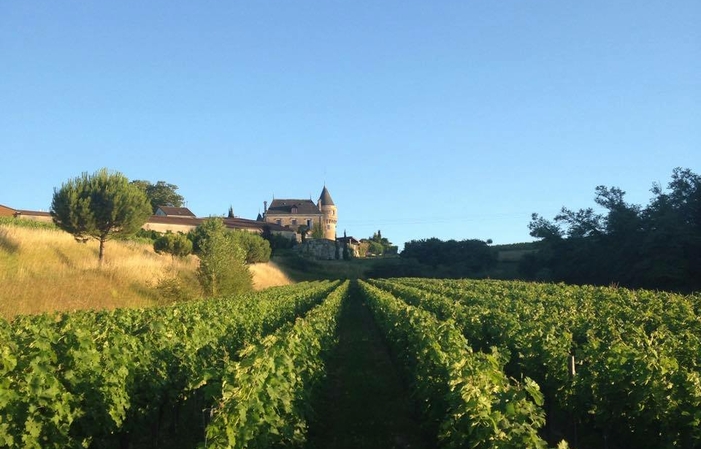 Ruta de senderismo: Las 4 estaciones de la Vid en el Château de la Grave 1,00 €