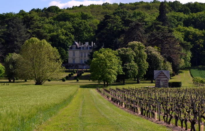 Visita y degustación en el Castillo de Vaugaudry 1,00 €