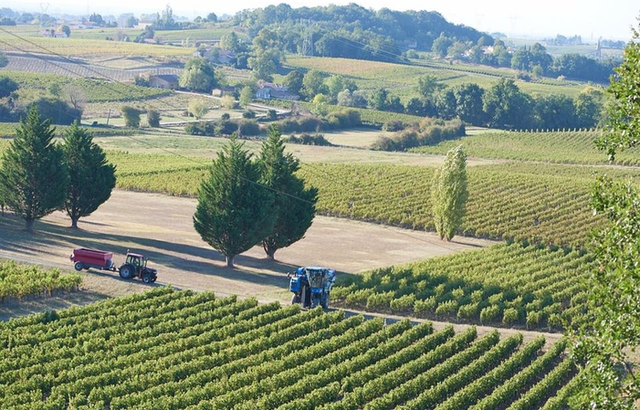 Visita y degustación en Château Puybarbe 1,00 €