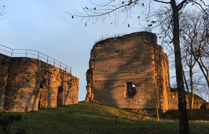 La visita del Parque, la Fortaleza y el Jardín de los Juegos en el Château d'Arlay 1,00 €