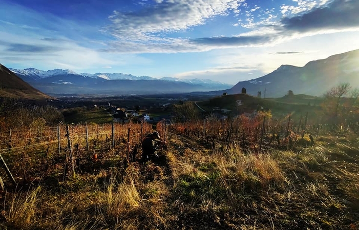 Visita y degustación en el viñedo de Chignin 1,00 €