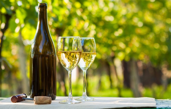 Fontevraud l'Abbaye con una cata de vinos y almuer 189,34 €