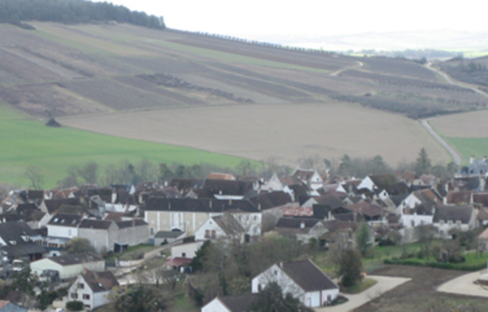 Visita y degustación en Domaine Sorin DeFrance 1,00 €