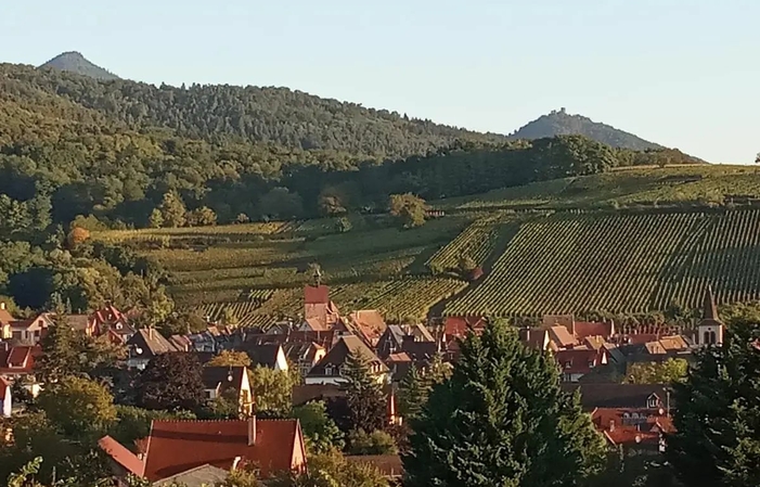 Visita y degustación en Domaine Greiner 1,00 €