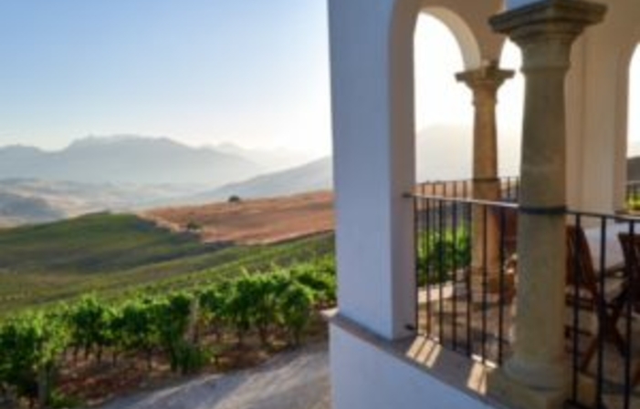 Visita a la Finca Bodega Ramos-Paul 1,00 €