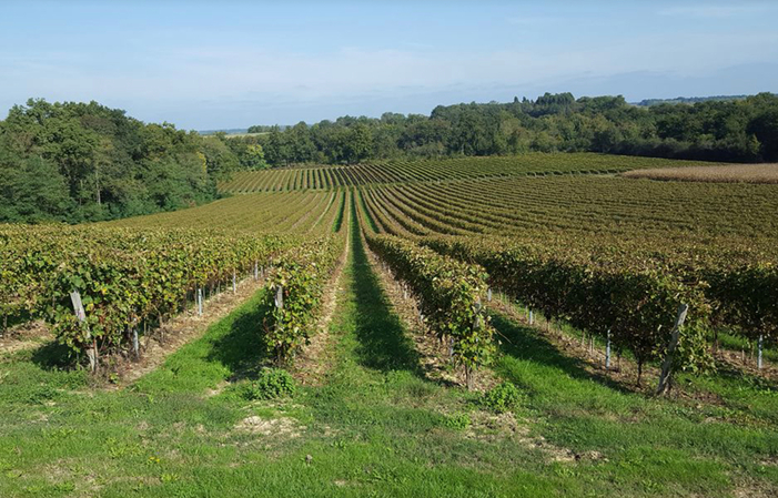 Visita y degustación en Château Garreau 4,50 €