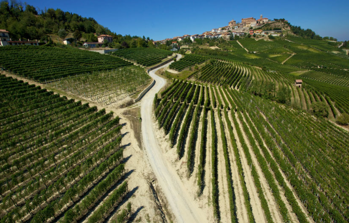 Visita y degustación en Domaine Roberto Voerzio 1,00 €