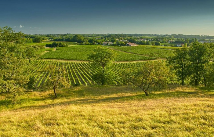 Visita y degustación en Château Puybarbe 1,00 €