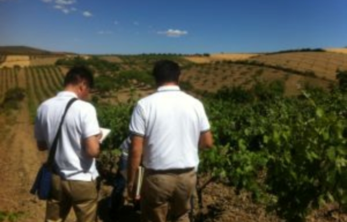 Visita la Finca Bodegas y Visedos Del Jalón 1,00 €