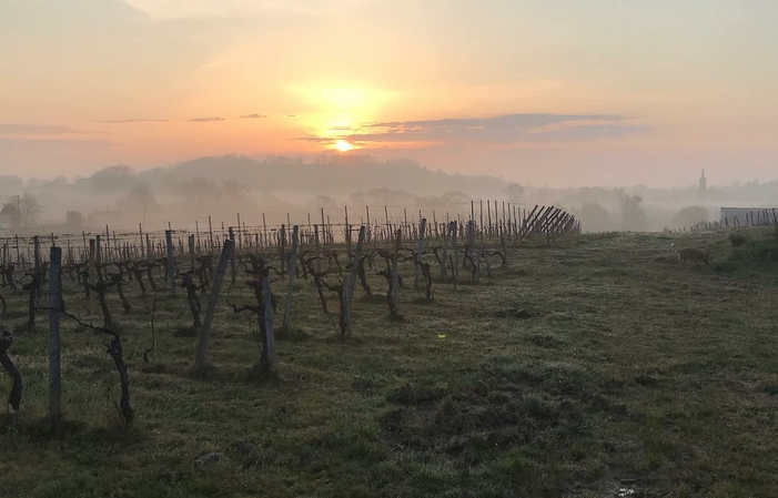 Visita y degustación en Château Bégot 1,00 €