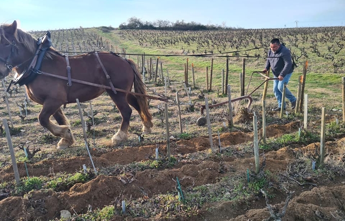 Visita y degustación en Domaine Lapierre 1,00 €