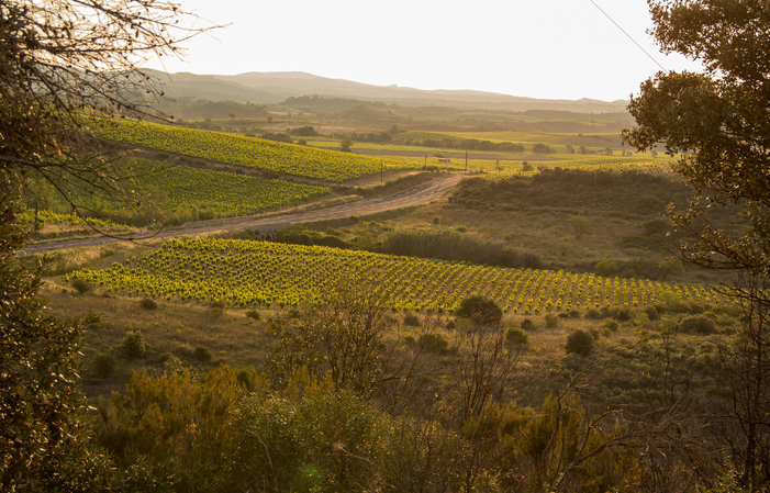 Visita y degustación en el Domaine des Prés Lasses 1,00 €