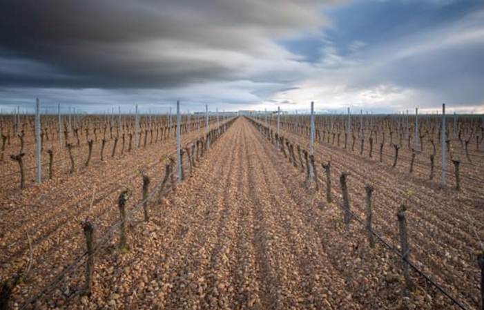 3 Vinos y 3 Quesos - Finca Montepedroso 15,00 €